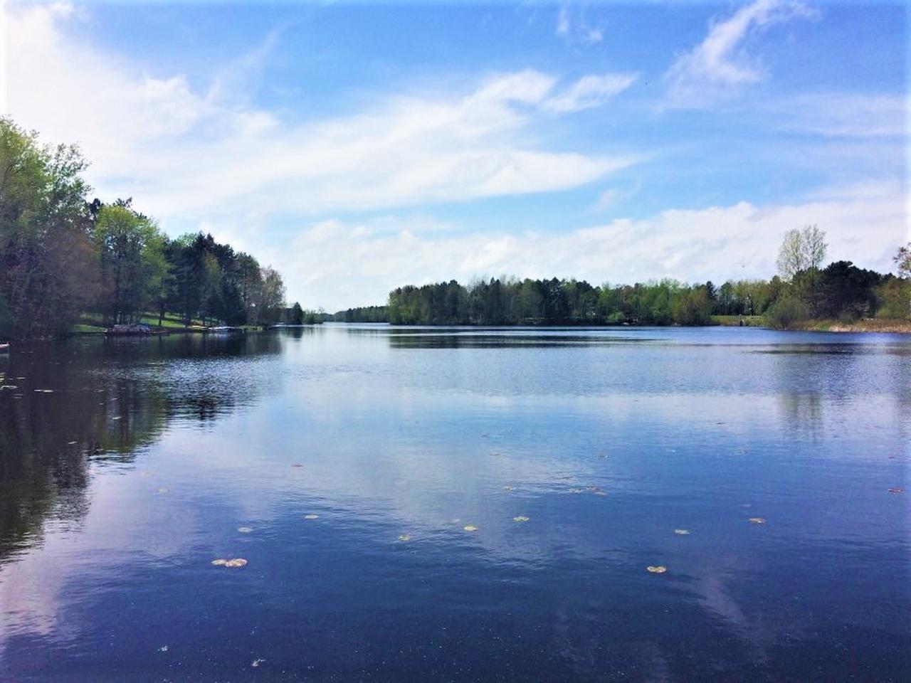 N8569 East Wilson Flowage Road Phillips, WI 54555 - Photo 22 of 22 Gallery Image 22