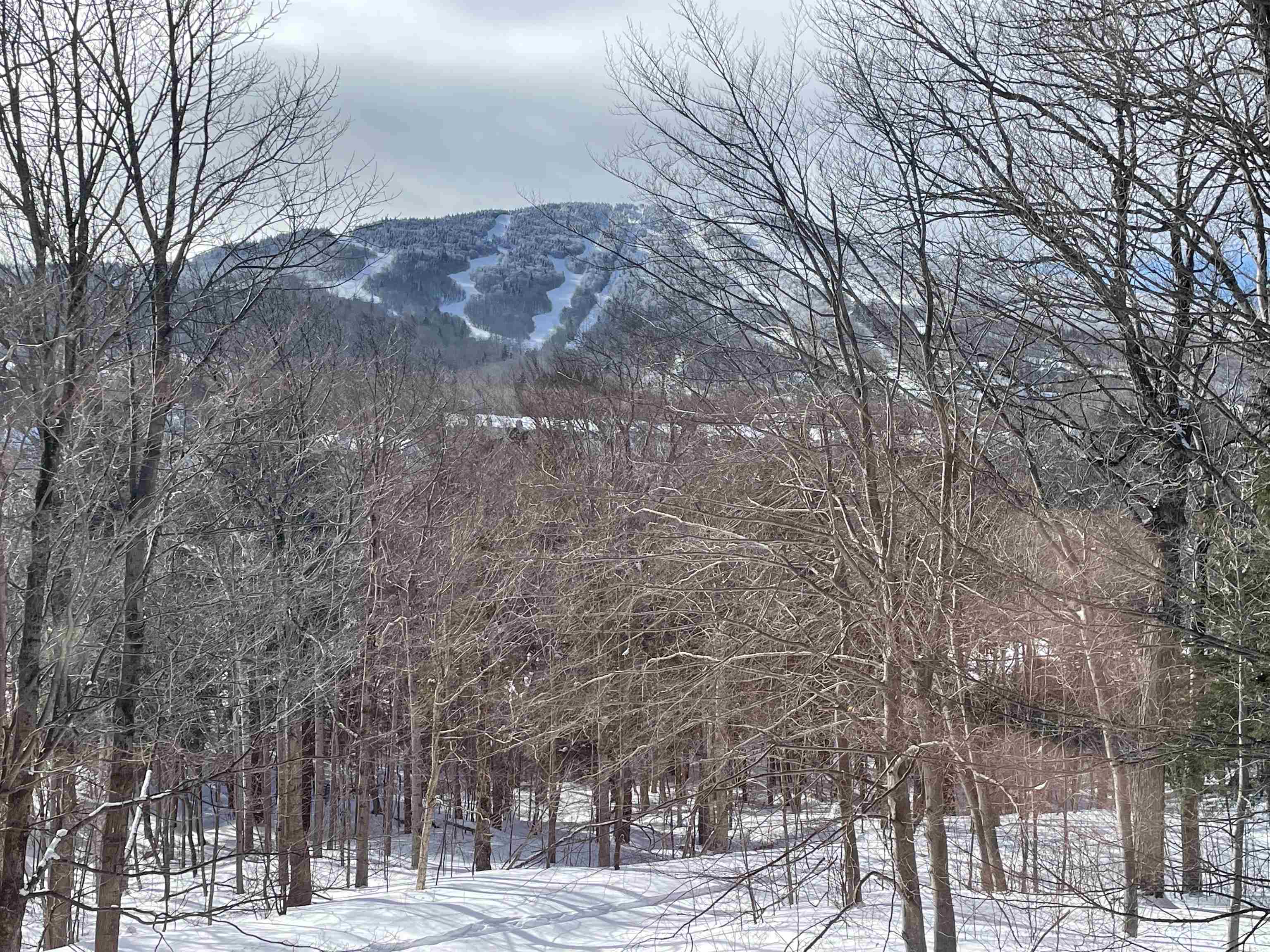 75 East Birch Road, Unit 35 Stratton, VT 05155 - Photo 37 of 38