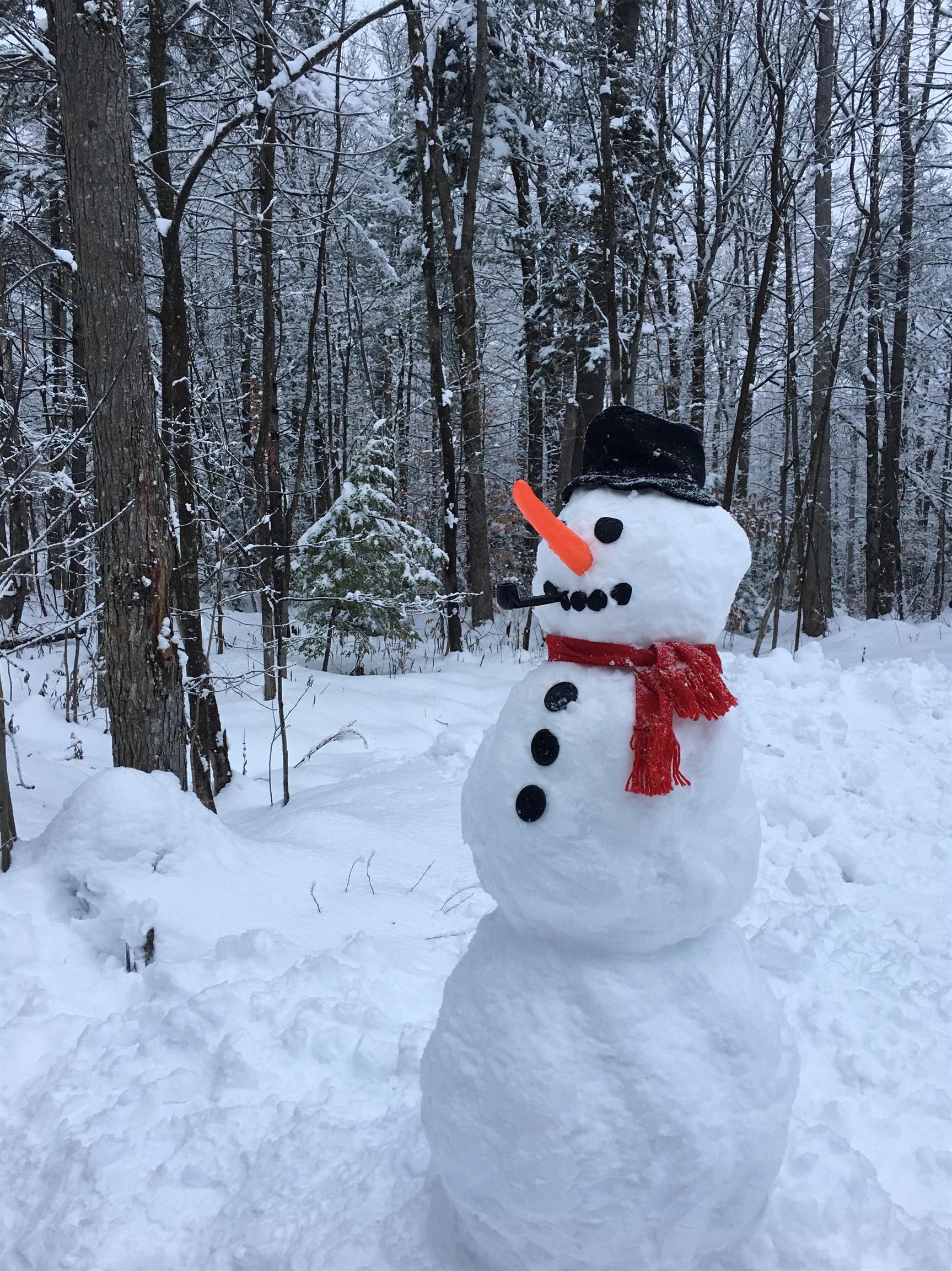 75 East Birch Road, Unit 35 Stratton, VT 05155 - Photo 38 of 38