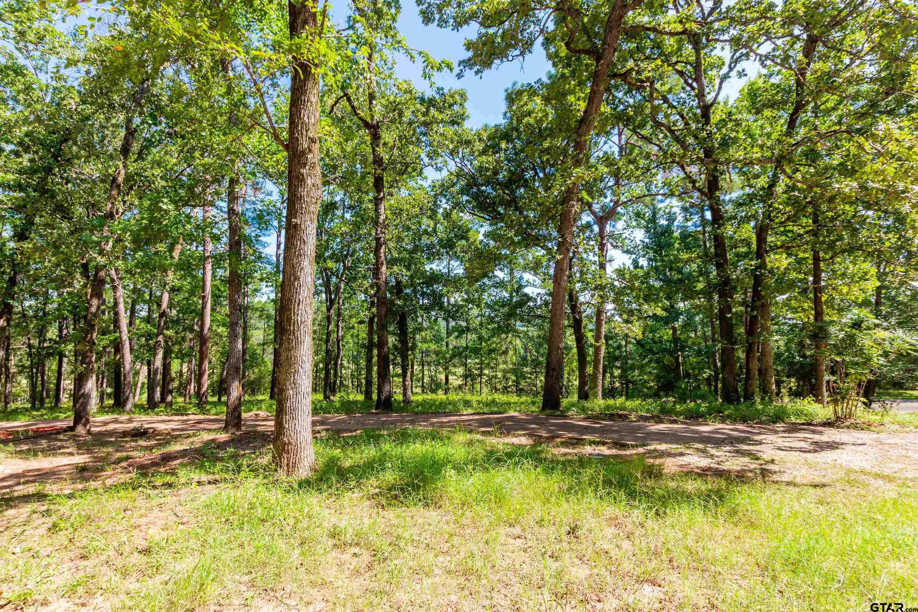 2261 Farm To Market 2972 Rusk, TX 75785 - Photo 34 of 35 Gallery Image 34