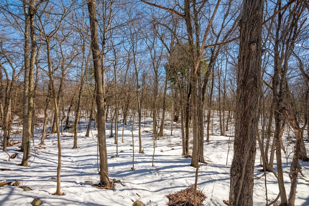 35 Hollywood Road Winchester, MA 01890 - Photo 33 of 40