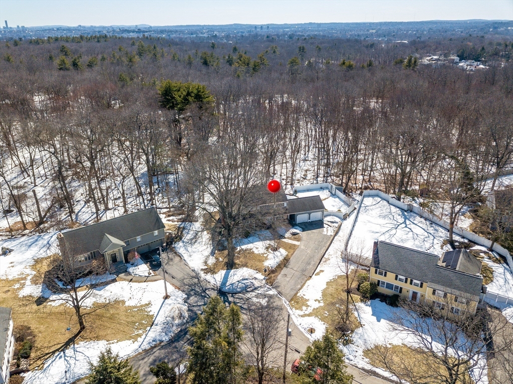 35 Hollywood Road Winchester, MA 01890 - Photo 34 of 40