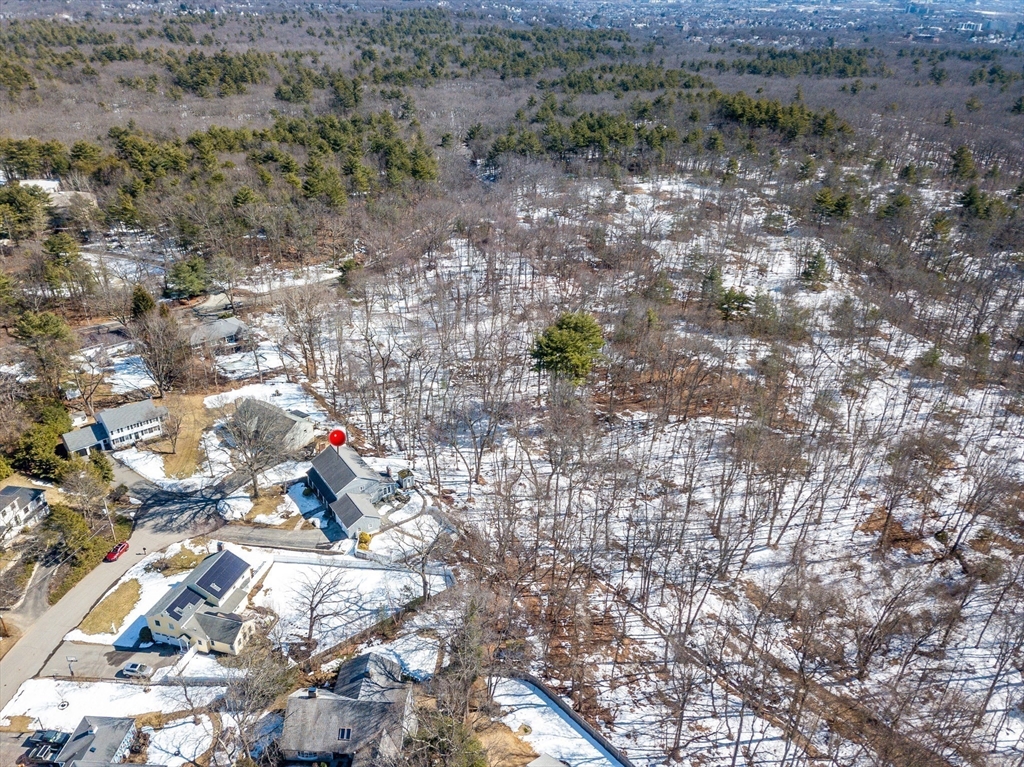 35 Hollywood Road Winchester, MA 01890 - Photo 35 of 40