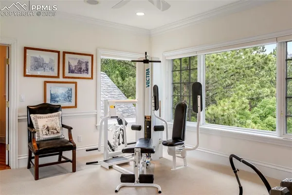 a view of a livingroom with furniture window and outside view