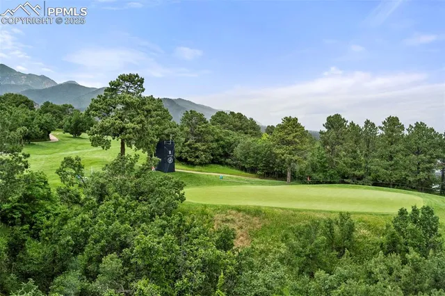 a view of a city with lush green forest
