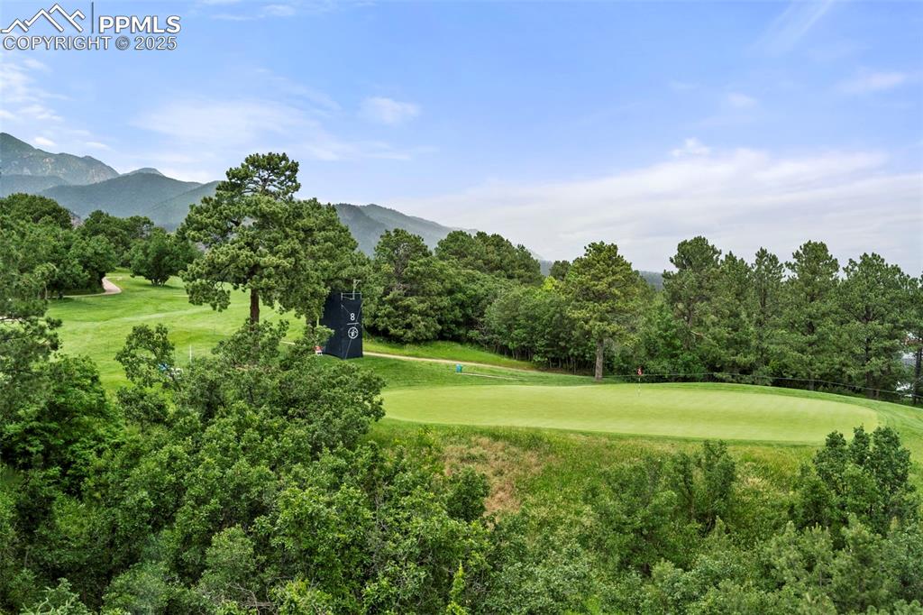 104 Marland Road Colorado Springs, CO 80906 - Photo 46 of 50 a view of a city with lush green forest