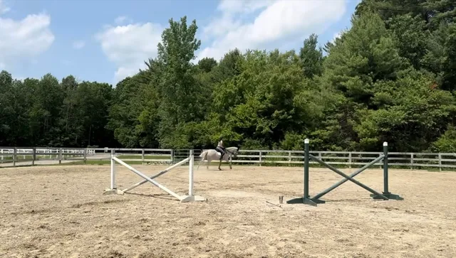 a view of a swimming pool with a bench and trees