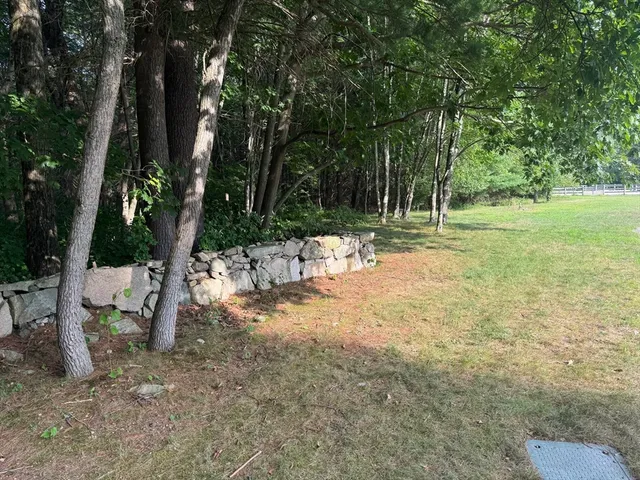 a view of yard with tree