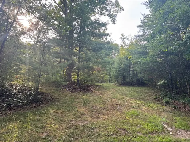 a view of a dry yard