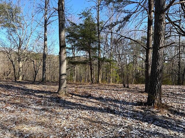 Lot 15 Under The Sun Way, Unit 15 Cosby, TN 37722 - Photo 5 of 14 IMG_1389