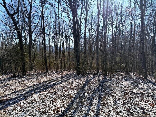 Lot 15 Under The Sun Way, Unit 15 Cosby, TN 37722 - Photo 6 of 14 IMG_1390