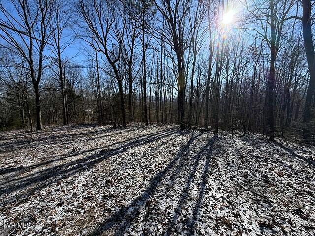 Lot 15 Under The Sun Way, Unit 15 Cosby, TN 37722 - Photo 7 of 14 IMG_1391
