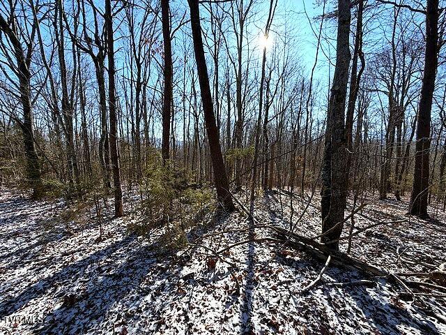 Lot 15 Under The Sun Way, Unit 15 Cosby, TN 37722 - Photo 8 of 14 IMG_1392