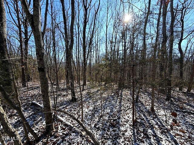 Lot 15 Under The Sun Way, Unit 15 Cosby, TN 37722 - Photo 9 of 14 IMG_1393