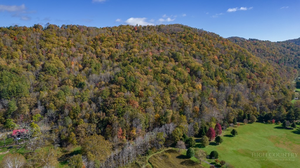 6 Walnut Ridge Road Vilas, NC 28692 - Photo 12 of 12 a view of a field with a tree