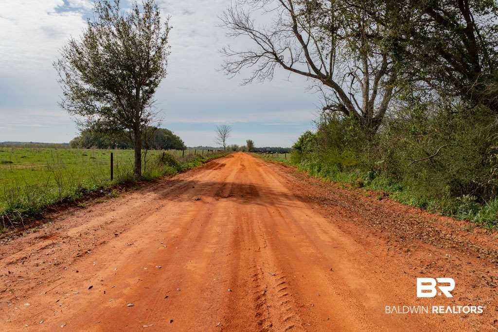 Harms Road Summerdale, AL 36580 - Photo 3 of 9
