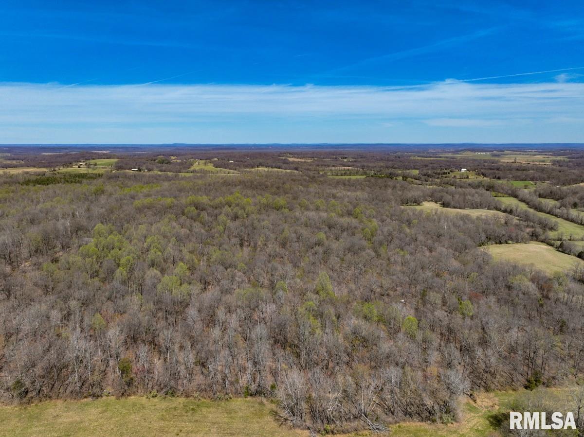 5504 Marion Road Metropolis, IL 62960 - Photo 13 of 62