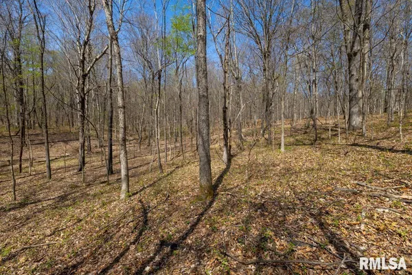 $625,000 | 5504 Marion Road, Metropolis, IL 62960
