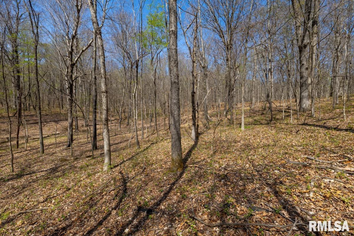 5504 Marion Road Metropolis, IL 62960 - Photo 14 of 62