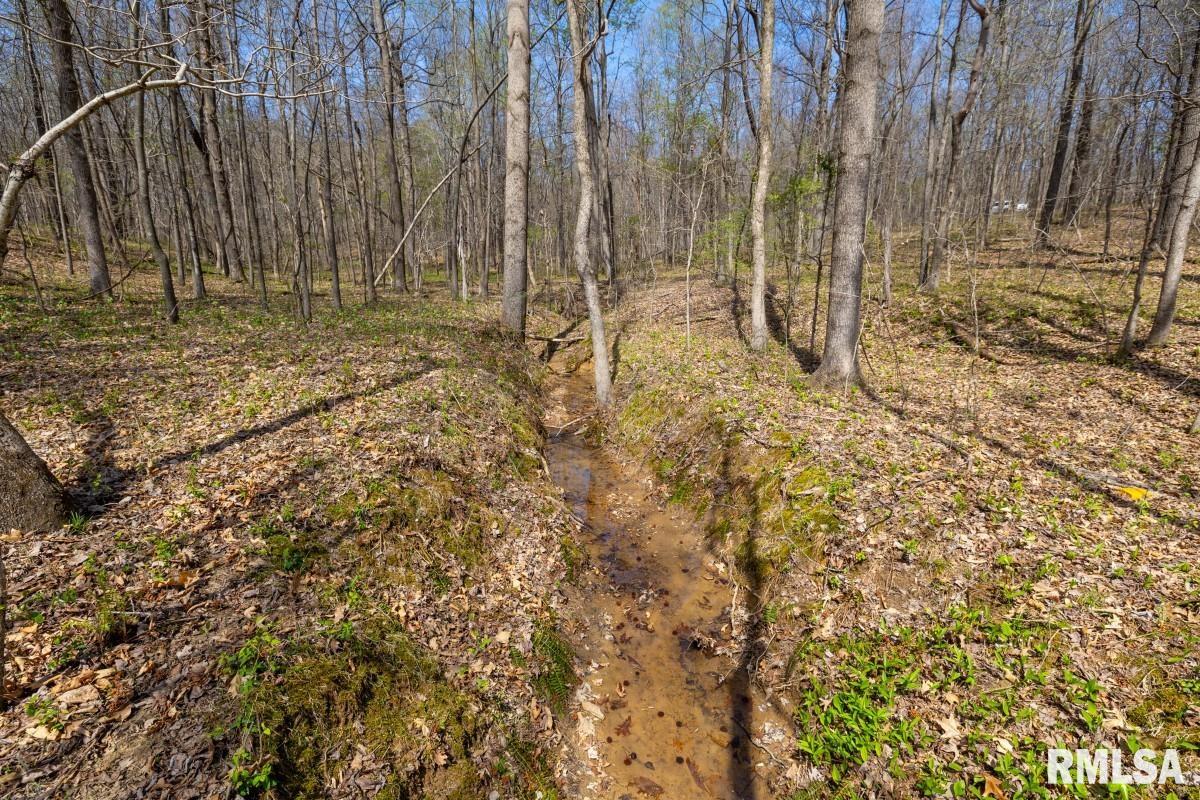 5504 Marion Road Metropolis, IL 62960 - Photo 15 of 62