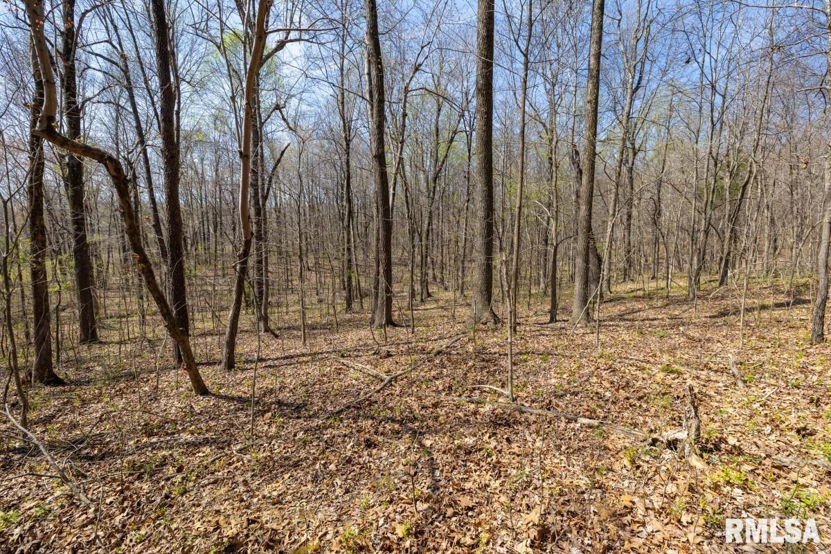 5504 Marion Road Metropolis, IL 62960 - Photo 16 of 62