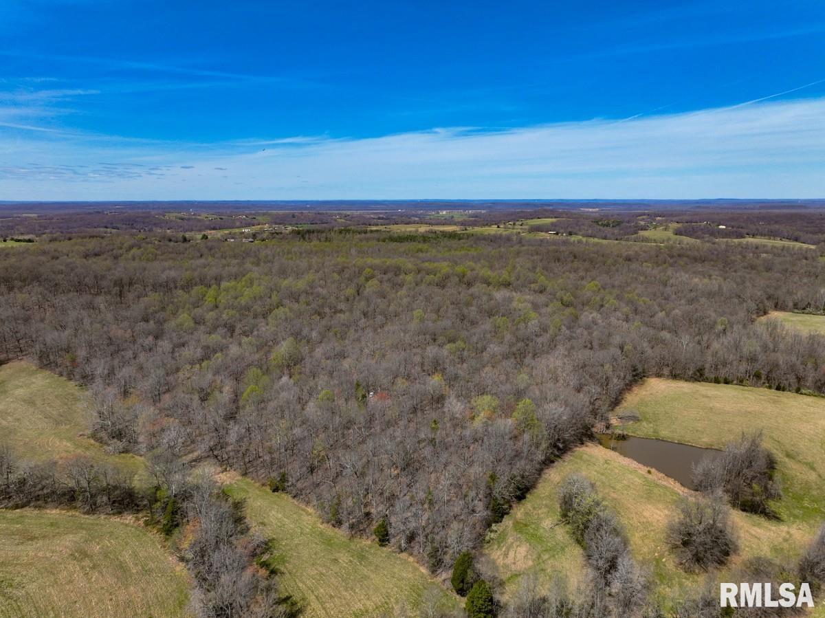 5504 Marion Road Metropolis, IL 62960 - Photo 23 of 62