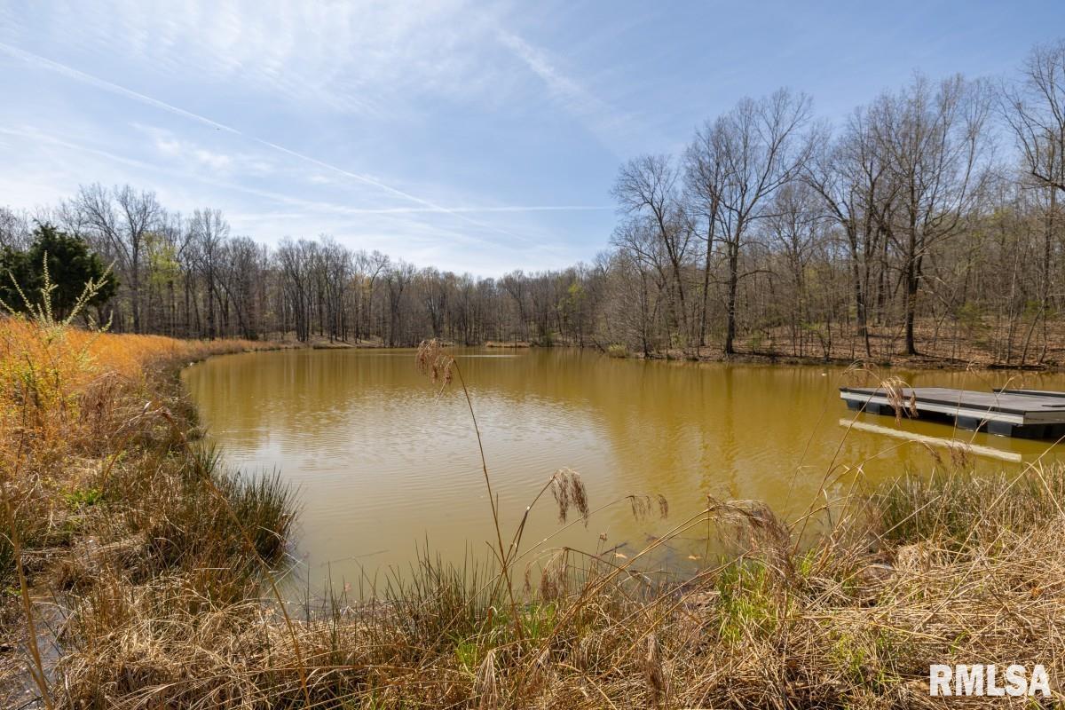 5504 Marion Road Metropolis, IL 62960 - Photo 37 of 62