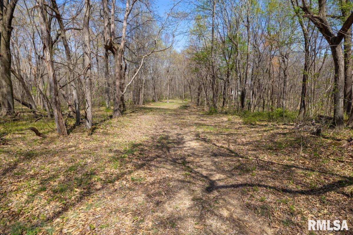 5504 Marion Road Metropolis, IL 62960 - Photo 40 of 62