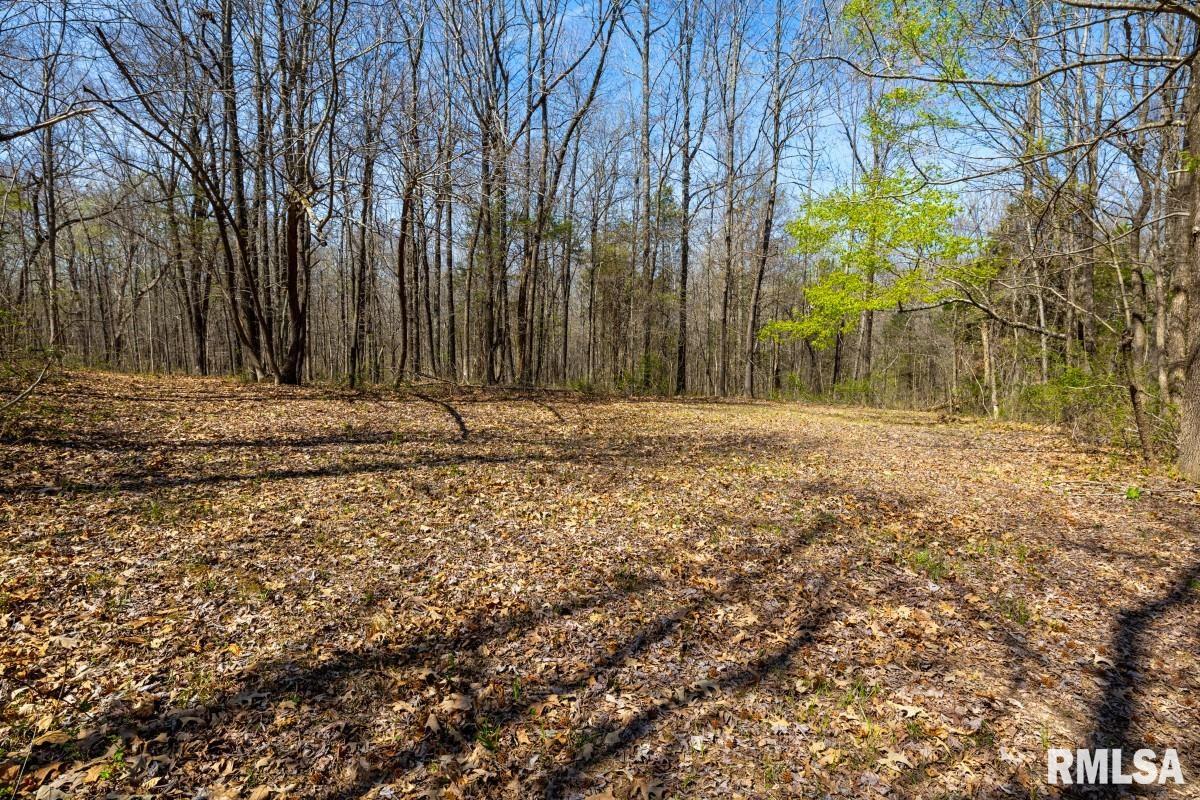 5504 Marion Road Metropolis, IL 62960 - Photo 41 of 62