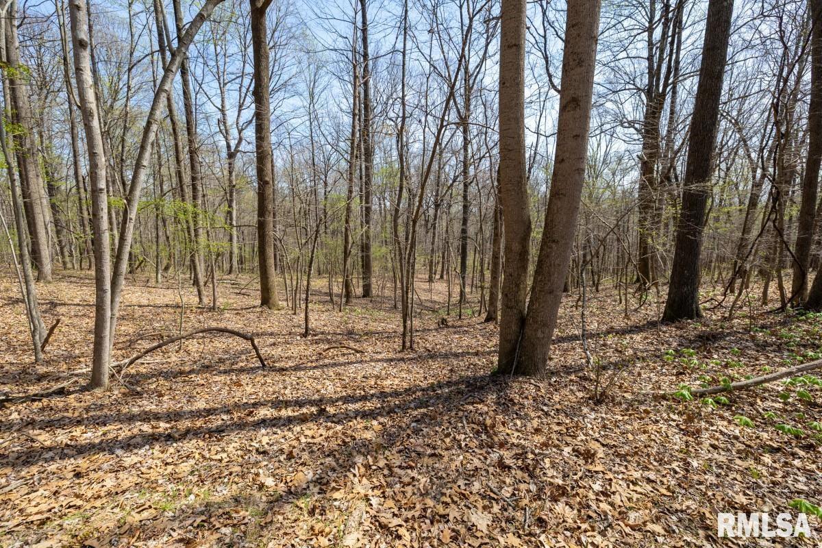 5504 Marion Road Metropolis, IL 62960 - Photo 42 of 62