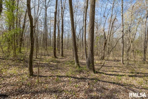 $625,000 | 5504 Marion Road, Metropolis, IL 62960