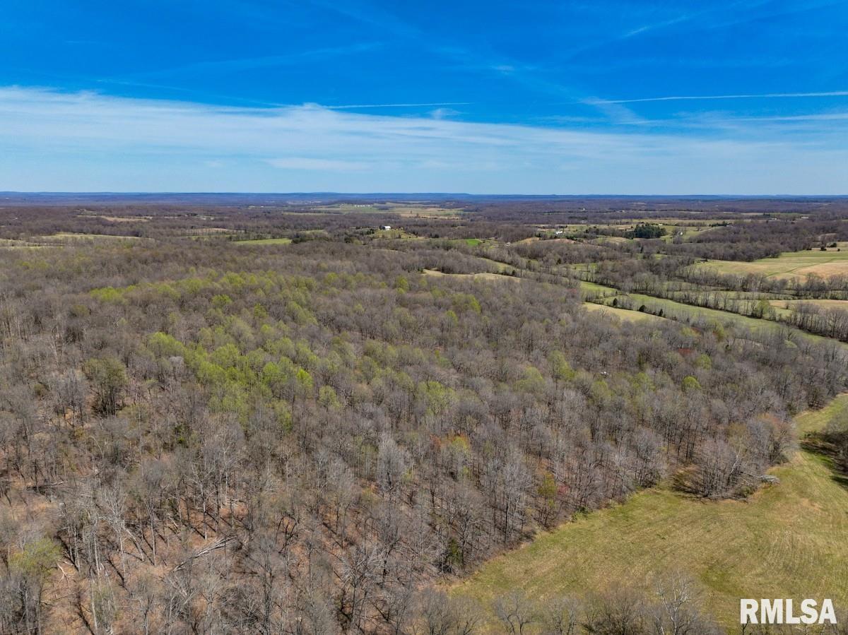 5504 Marion Road Metropolis, IL 62960 - Photo 45 of 62