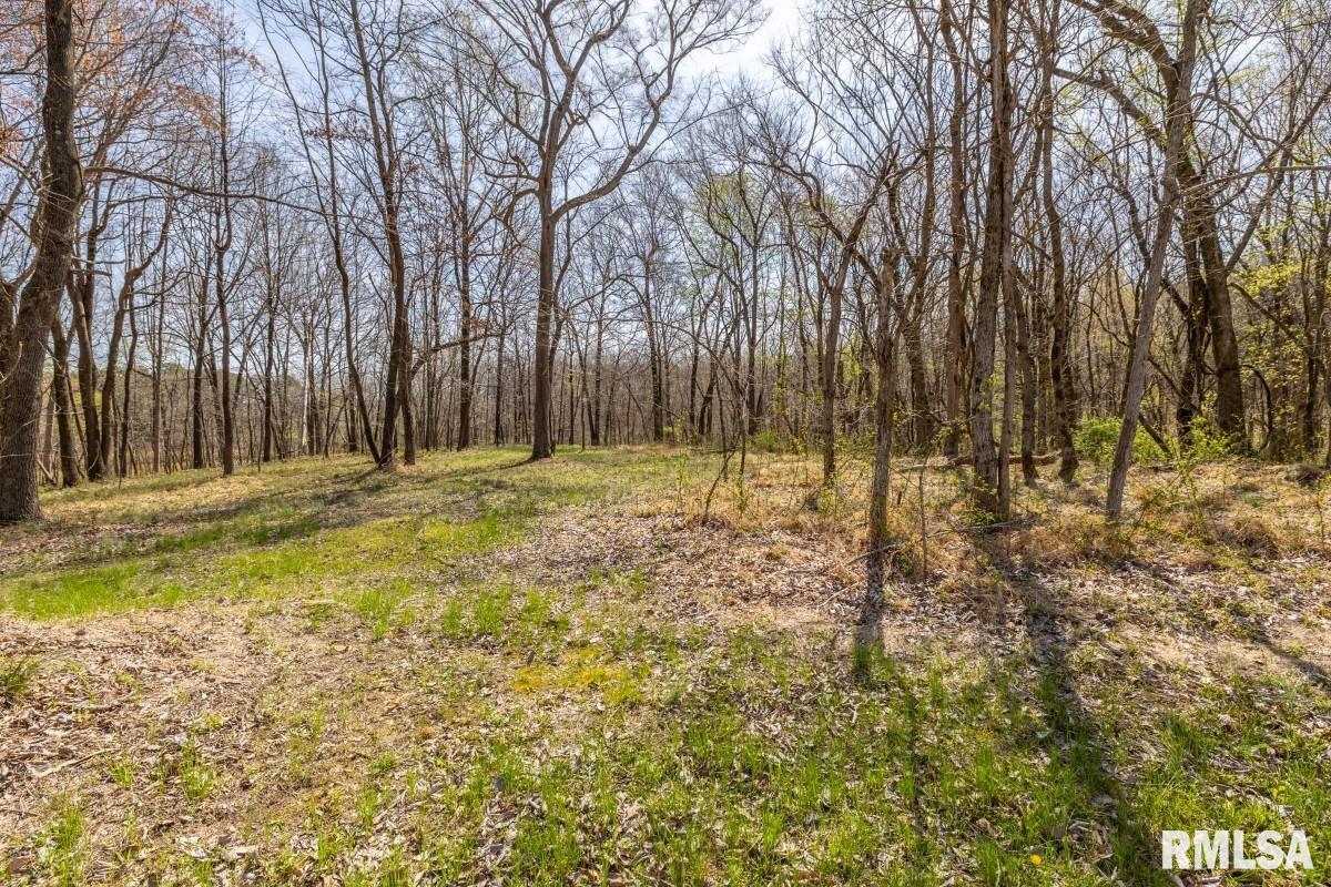 5504 Marion Road Metropolis, IL 62960 - Photo 46 of 62