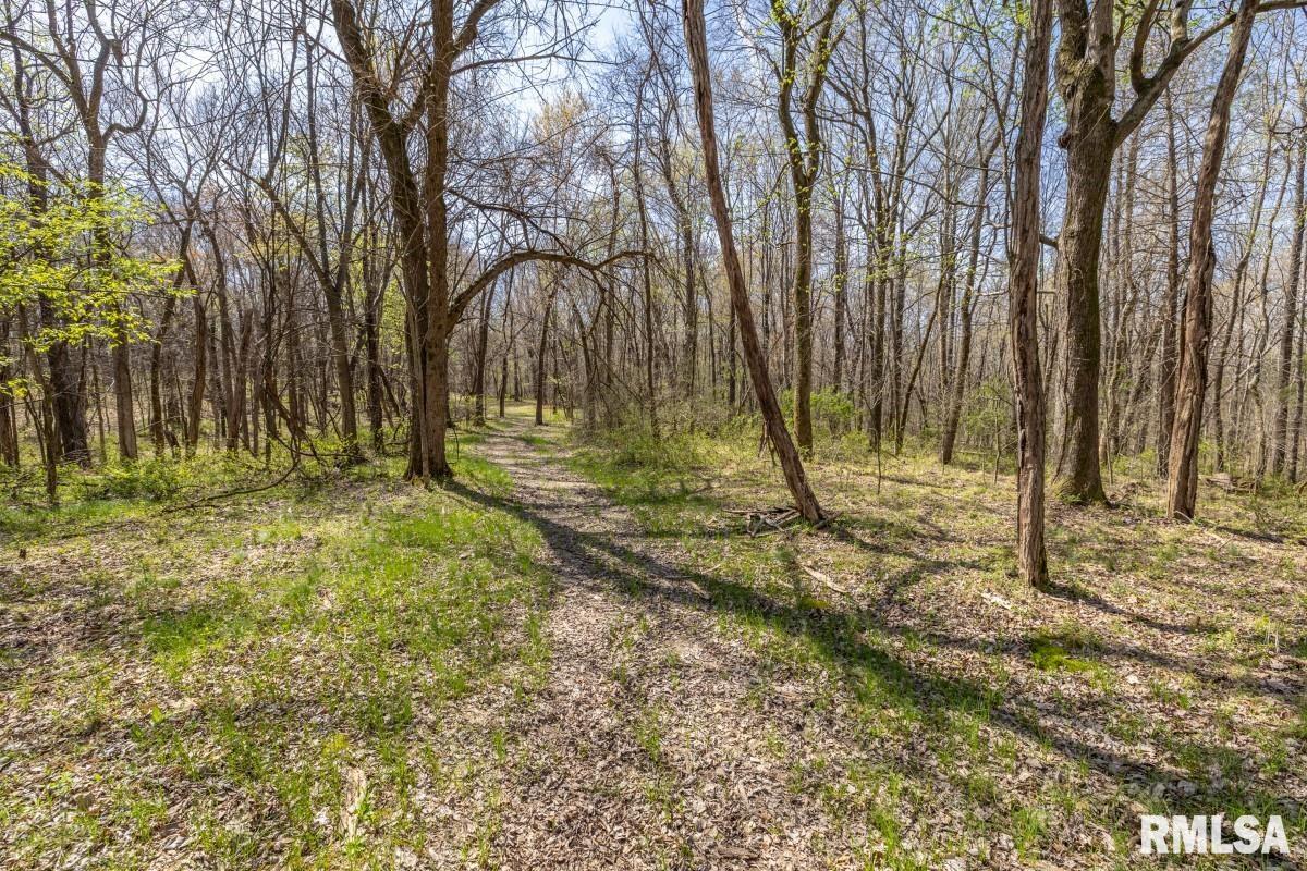 5504 Marion Road Metropolis, IL 62960 - Photo 47 of 62