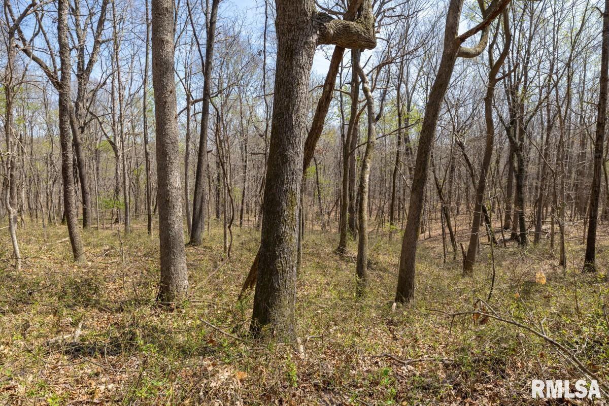 5504 Marion Road Metropolis, IL 62960 - Photo 48 of 62