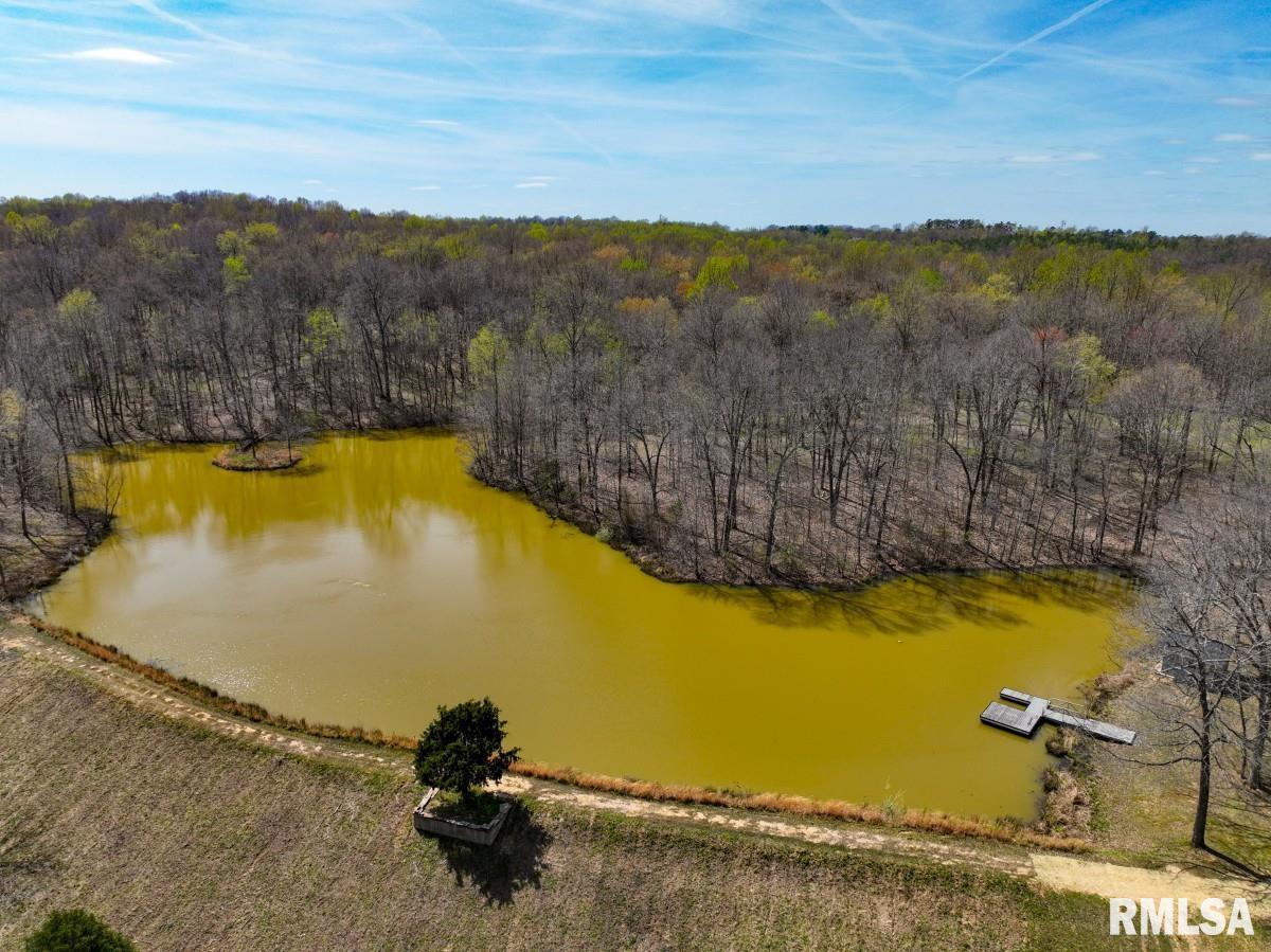 5504 Marion Road Metropolis, IL 62960 - Photo 56 of 62