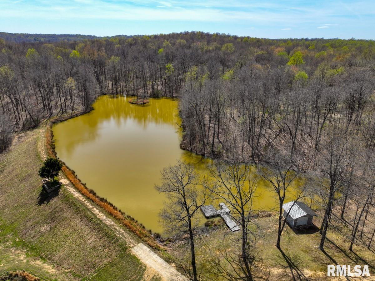 5504 Marion Road Metropolis, IL 62960 - Photo 57 of 62