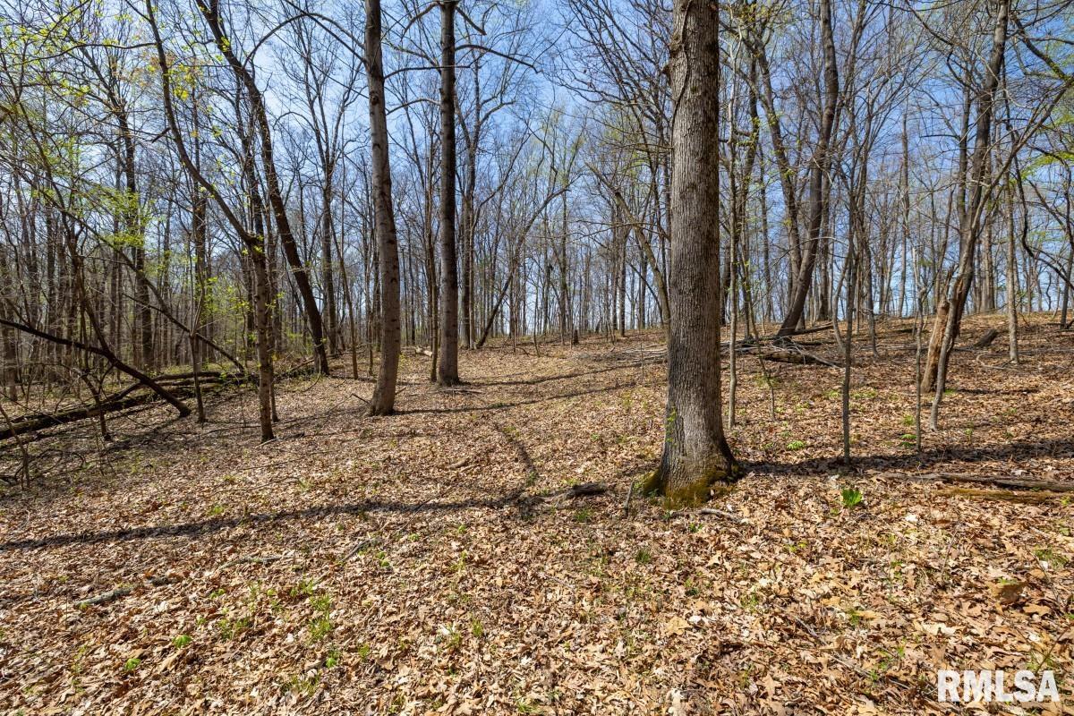 5504 Marion Road Metropolis, IL 62960 - Photo 61 of 62