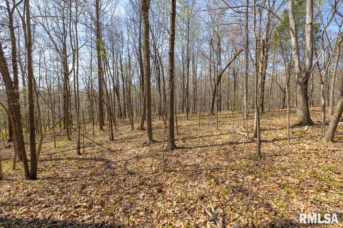 5504 Marion Road Metropolis, IL 62960 - Photo 62 of 62