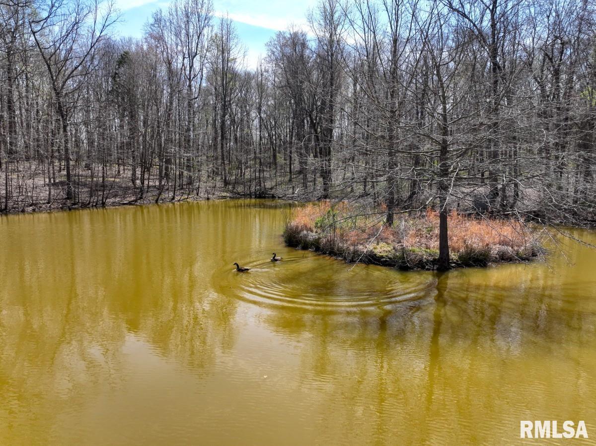 5504 Marion Road Metropolis, IL 62960 - Photo 9 of 62