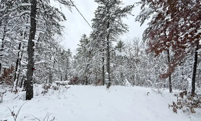 $29,900 | 11335 South Broadway Street, Bitely, MI 49309