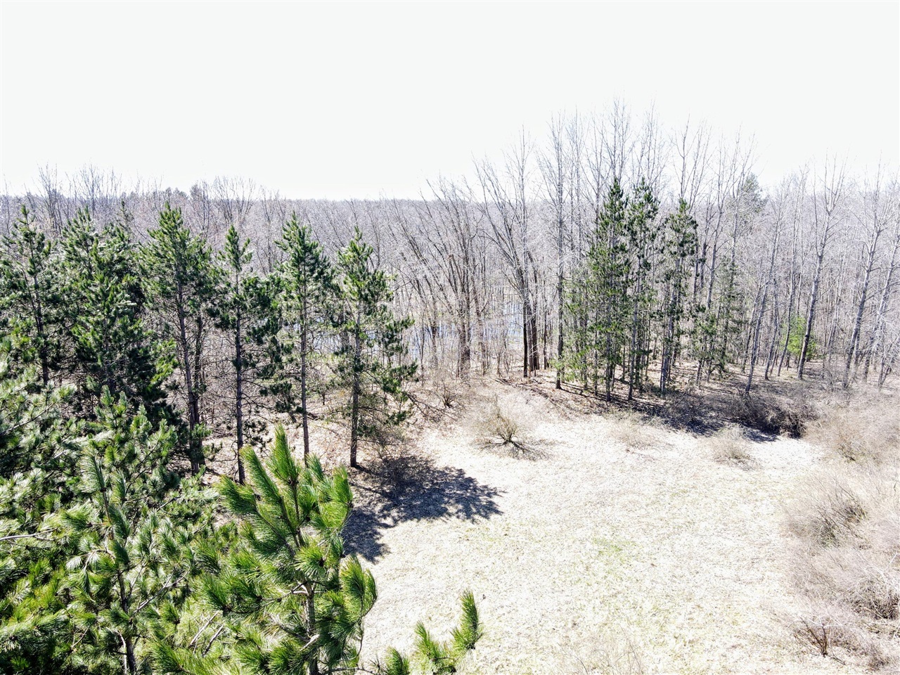 20 West A W Coe Road Shepherd, MI 48883 - Photo 3 of 15