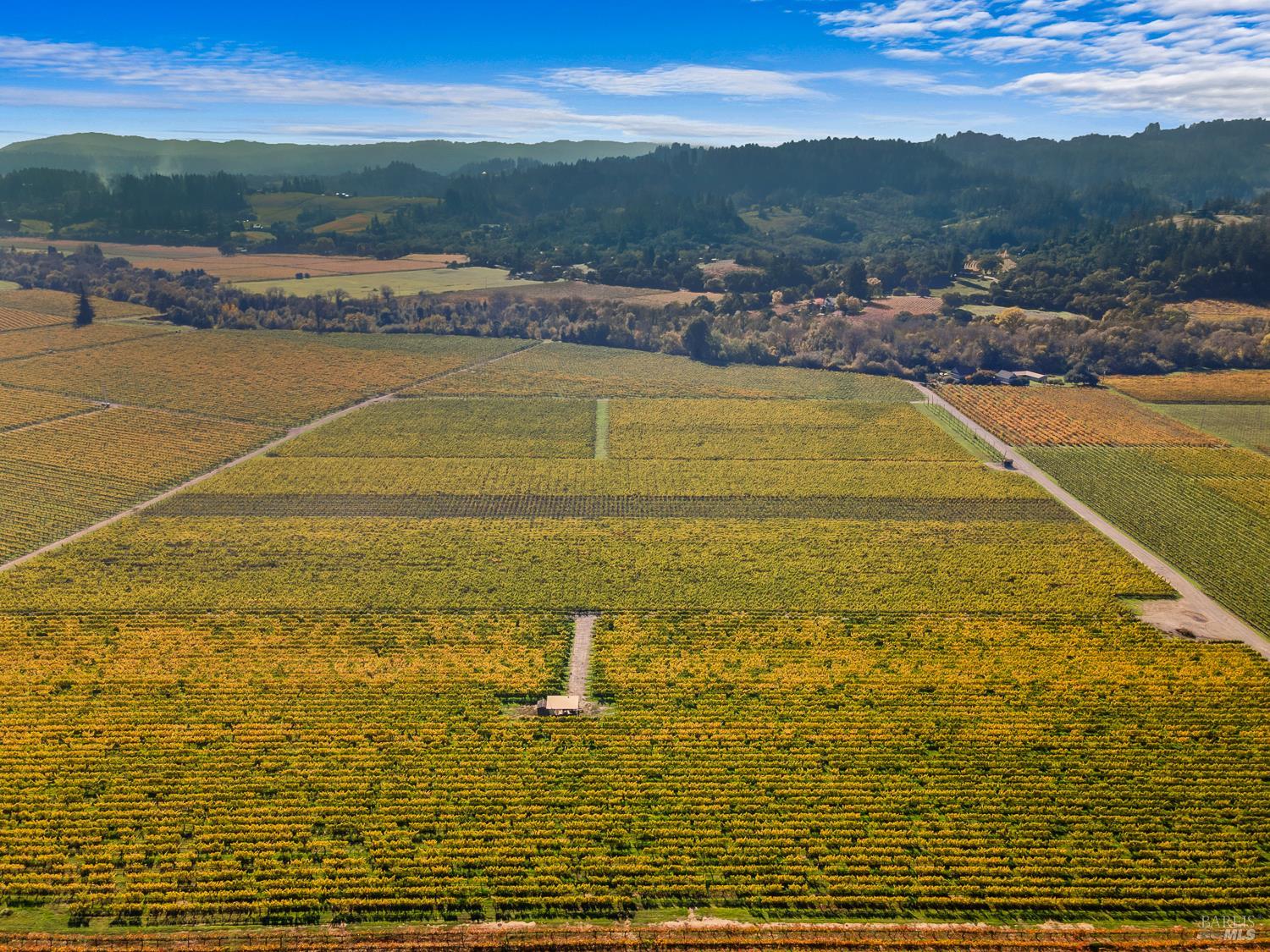 636 Dry Creek Road Healdsburg, CA 95448 - Photo 5 of 18 a view of an ocean view