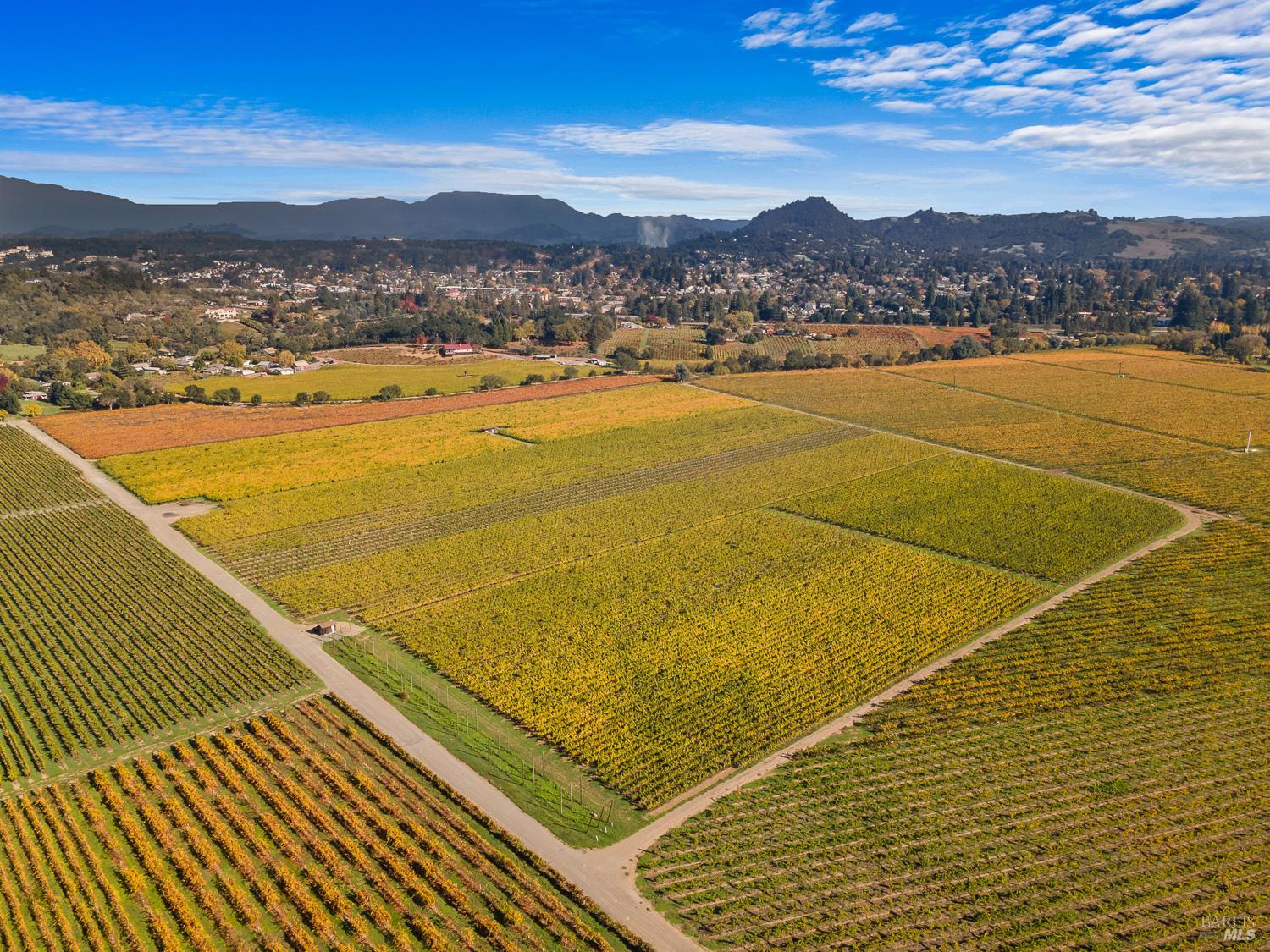 636 Dry Creek Road Healdsburg, CA 95448 - Photo 8 of 18 a view of an ocean from a terrace