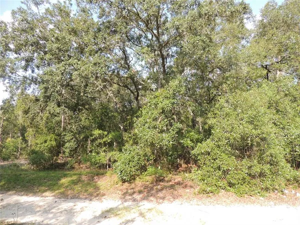 $22,500 | 7550 Northeast 95th Avenue, Bronson, FL 32621