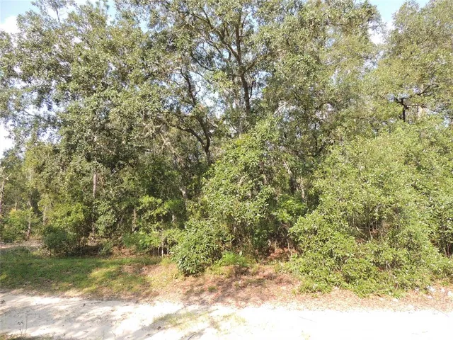 $24,500 | 7550 Northeast 95th Avenue, Bronson, FL 32621