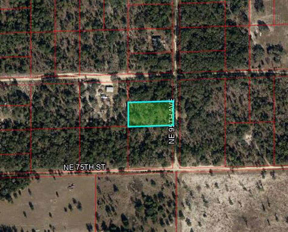 7550 Northeast 95th Avenue Bronson, FL 32621 - Photo 2 of 5