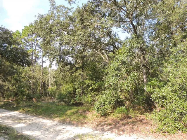 $24,500 | 7550 Northeast 95th Avenue, Bronson, FL 32621