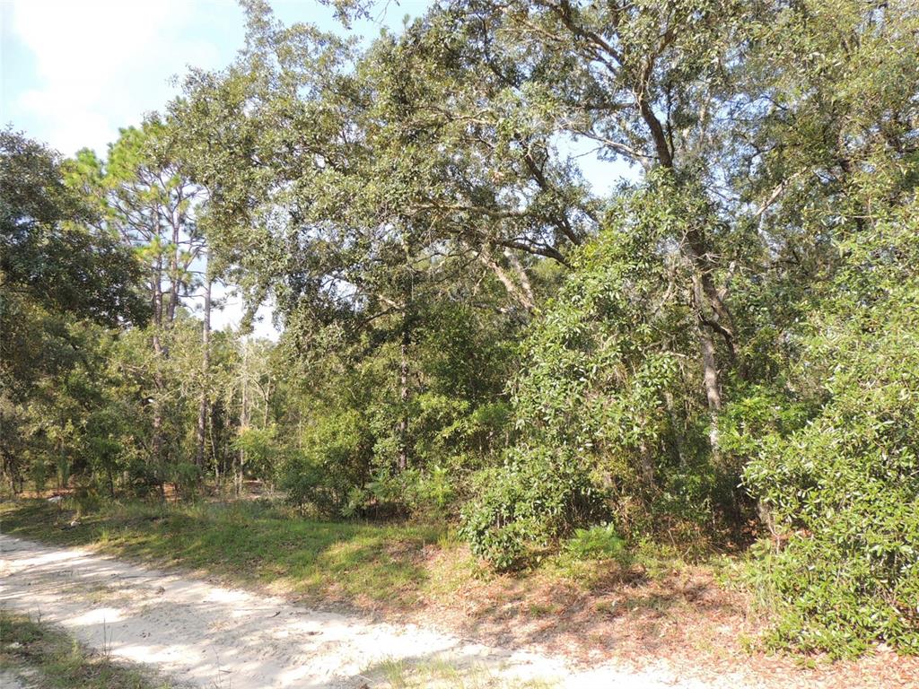 7550 Northeast 95th Avenue Bronson, FL 32621 - Photo 3 of 5