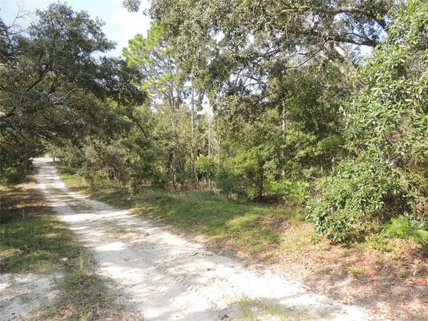 $22,500 | 7550 Northeast 95th Avenue, Bronson, FL 32621